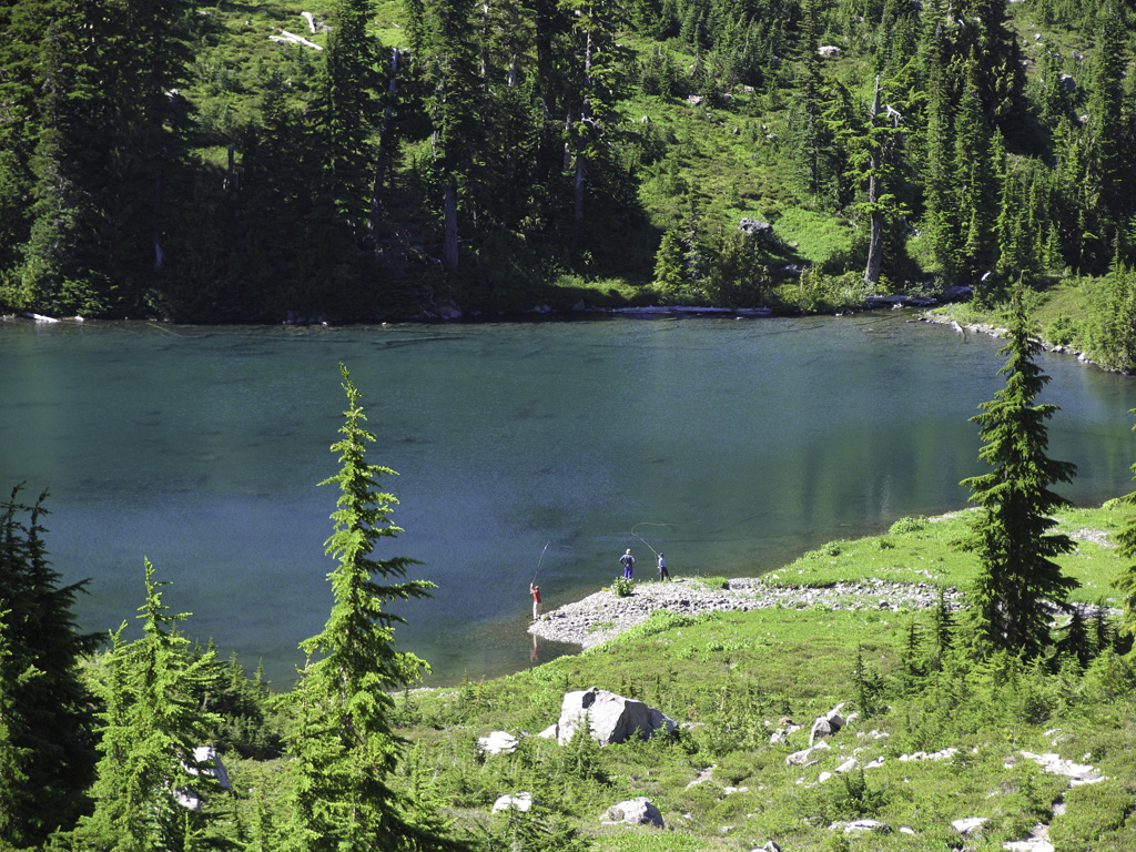 High divide loop olympic national park