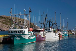 St. John's Harbour