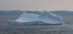 Iceberg in Notre Dame Bay