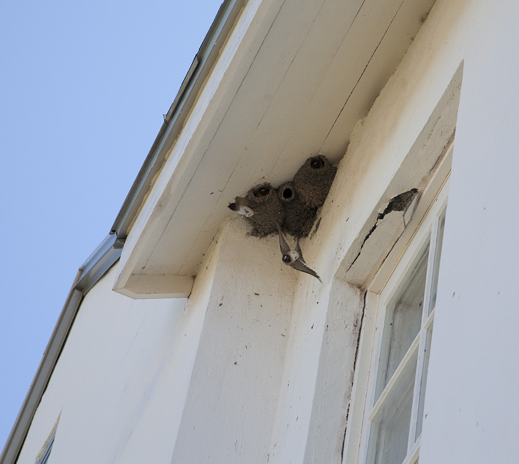 Grosse-Île Irish Memorial National Historic Site