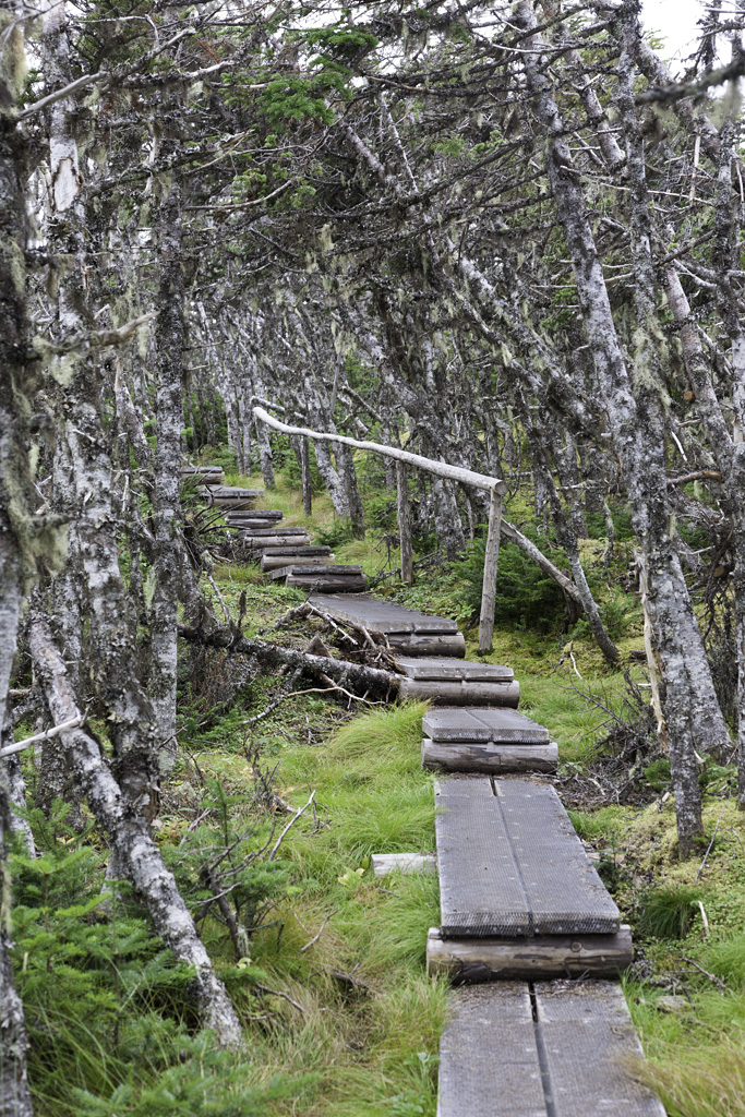 Skerwink Trail