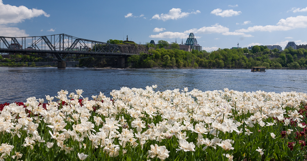 View of the National Art Gallery from the Canadian Museum of History