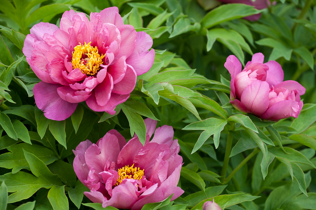 Send in the&nbsp;clouds