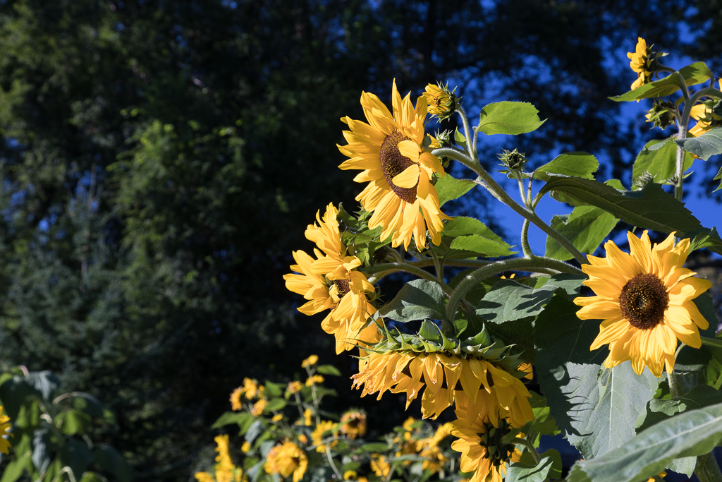 Getting Through Shoulder&nbsp;Seasons